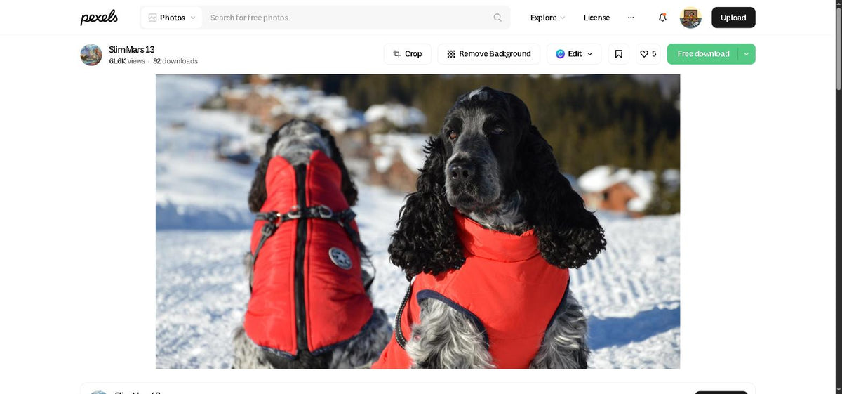 Serenity Weighted Calming Vest for Dogs
