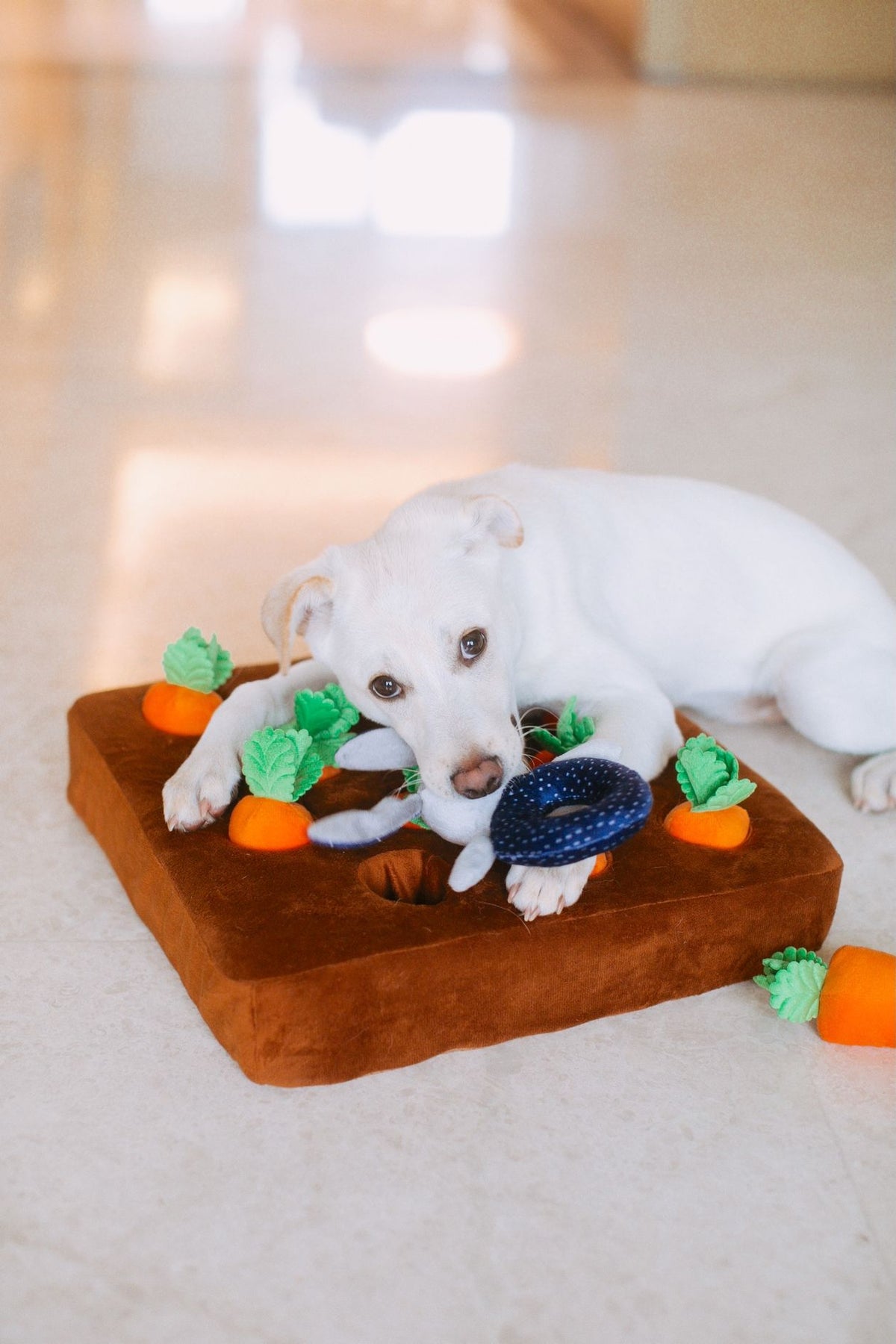 Serenity Snuffle Foraging Mat