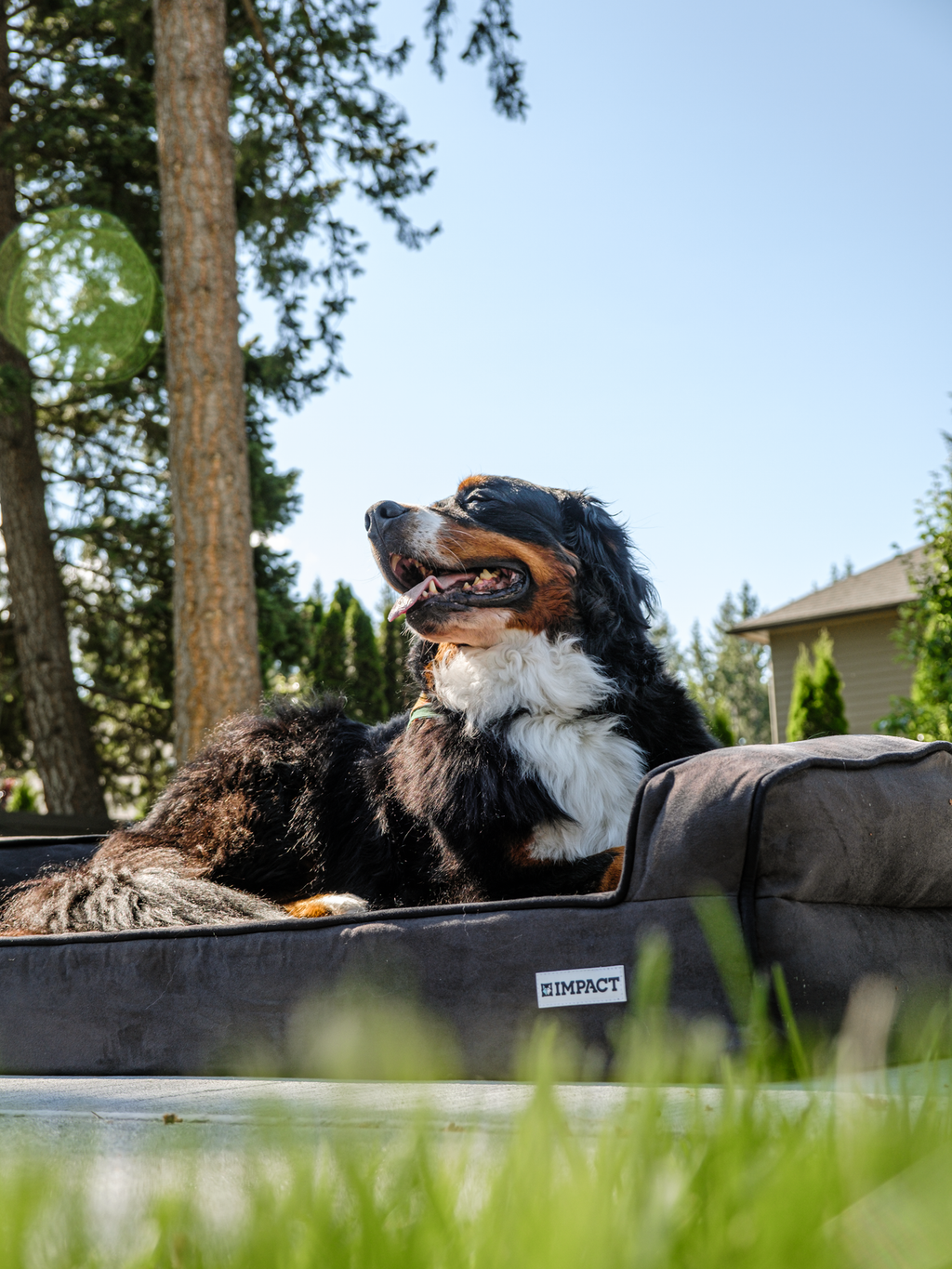 Serenity Orthopedic Memory Foam Bed