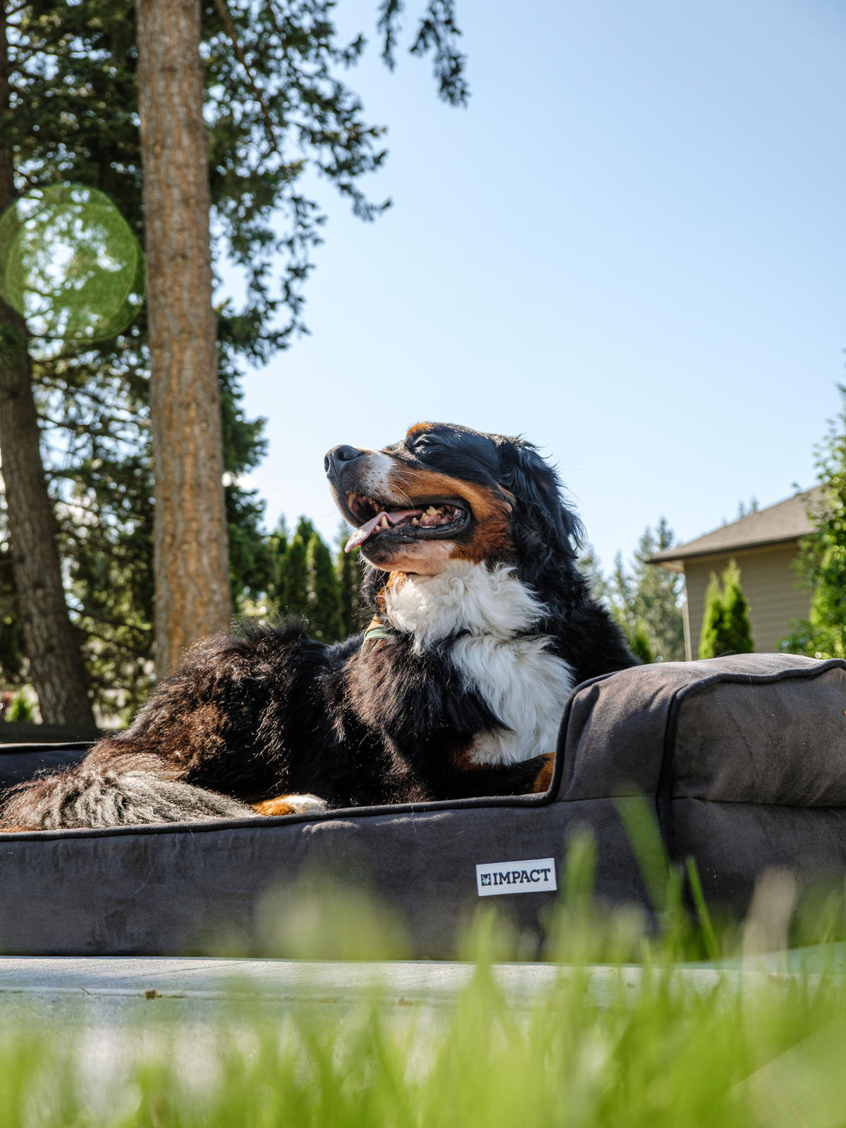 Serenity Orthopedic Memory Foam Bed