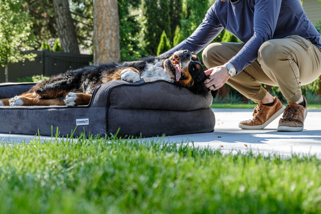 Serenity Orthopedic Memory Foam Bed